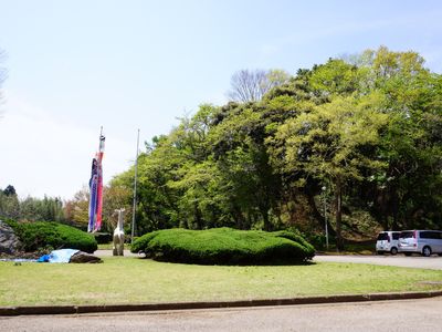 緑豊かな中庭風景