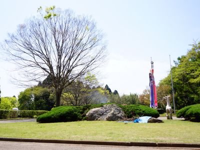 緑豊かな庭の風景