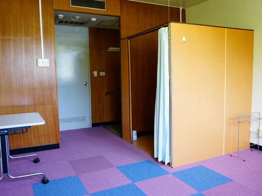 奥に扉があり、そばの壁は木目調になっている。右側には正方形型のスペースがあり、そこの左側にはカーテンが付いている。