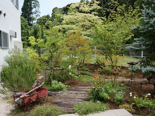 緑豊かな中庭の風景