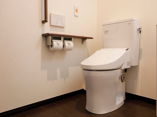 清潔なトイレの様子