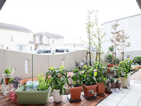 植物が並ぶ明るい中庭