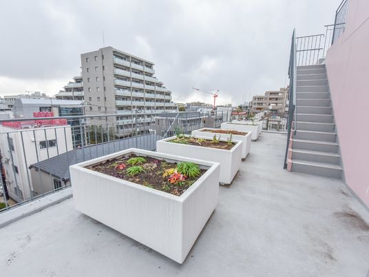 都市景観のある屋上庭園