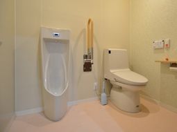 清潔なトイレと手すり
