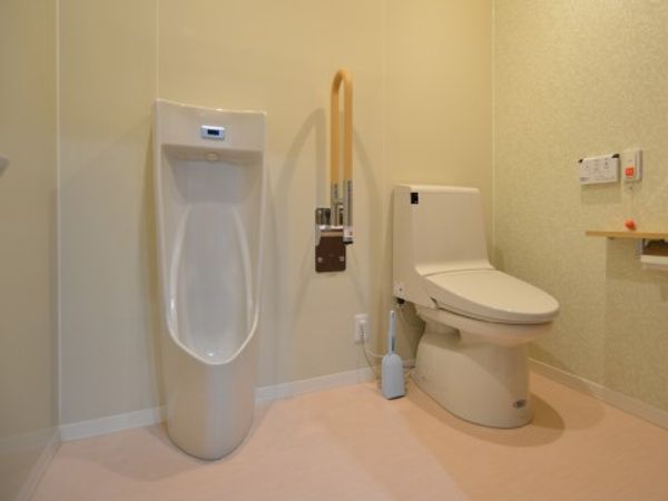 清潔なトイレと手すり
