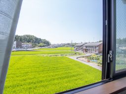 窓越しの緑豊かな景色