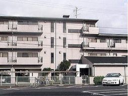 明るい外観の建物