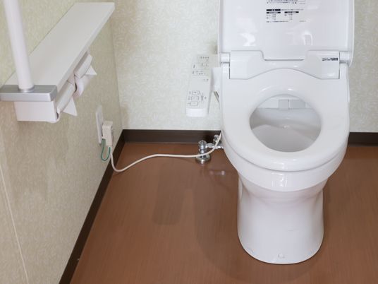 手すり付きトイレの室内