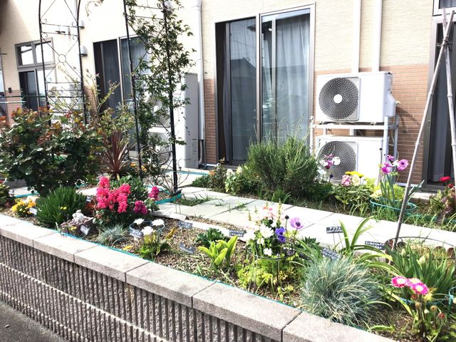エントランスの明るい空間 菜園 明るく開放的な受付エリアで、訪れる人々を暖かく迎えています。装飾も施された心地よい空間ですので、訪問者との会話も弾むことでしょう。