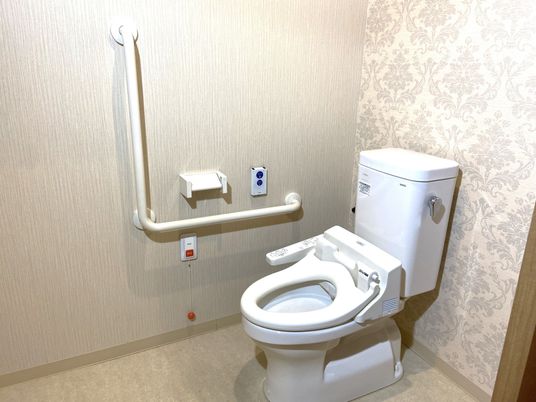 手すり付きの明るいトイレ