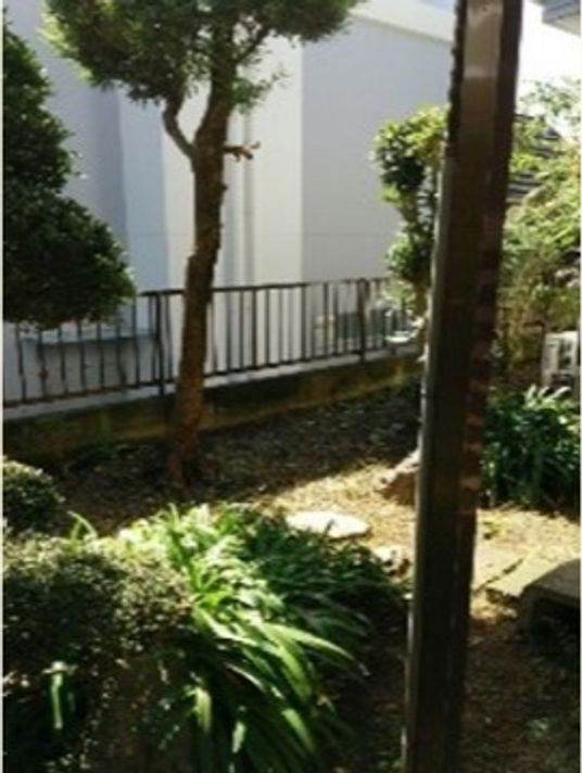 緑豊かな中庭風景