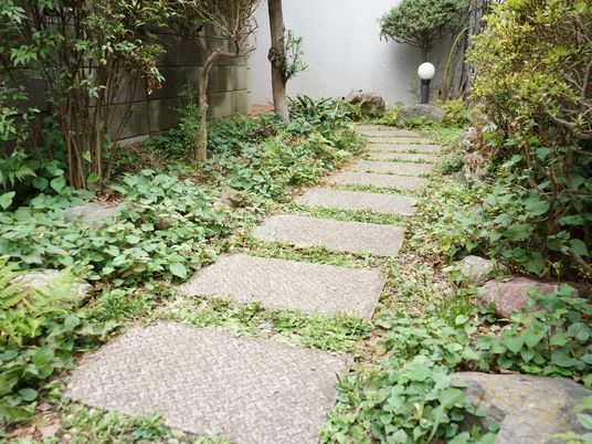 緑豊かな中庭の散策路