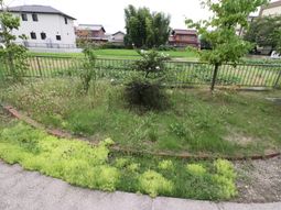 緑豊かな庭の景観