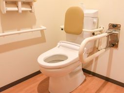 手すり付き清潔なトイレ