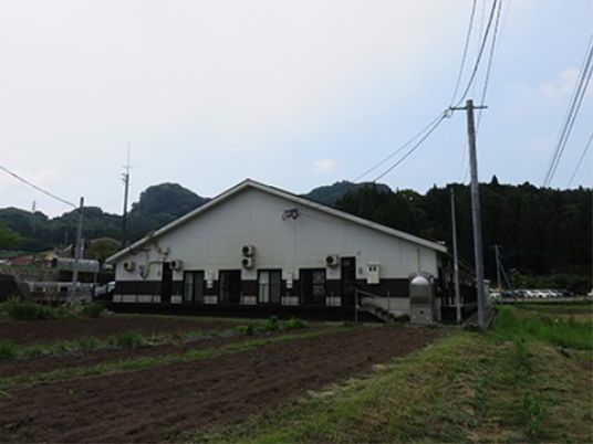 白壁の建物と周囲の緑