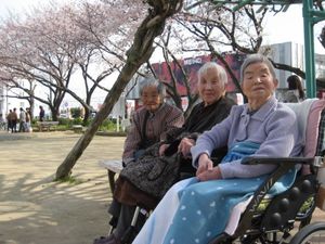 外でお花見する高齢者たち