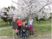桜並木と散歩する人々
