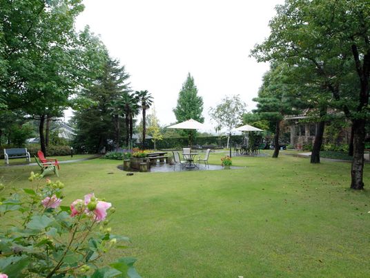 緑豊かな庭の風景