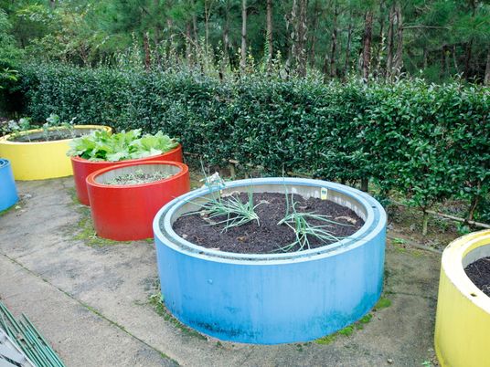 カラフルな植物ベッド