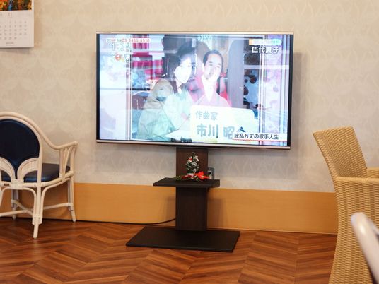 リビングのテレビと椅子