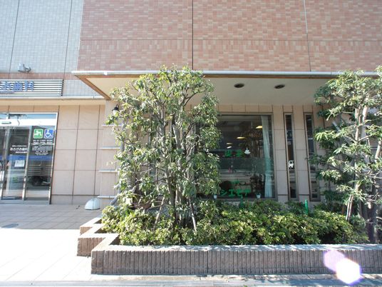 緑に囲まれたエントランス