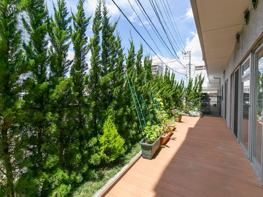 緑豊かな中庭景観