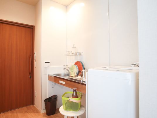 居室の洗面台と洗濯機