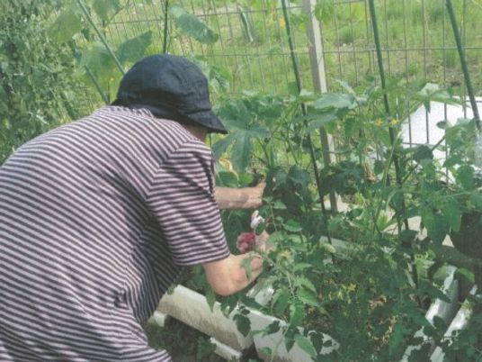 畑で作業する人の後姿