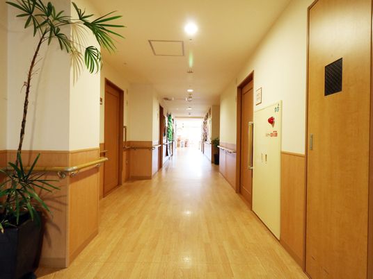 清潔な廊下の一望