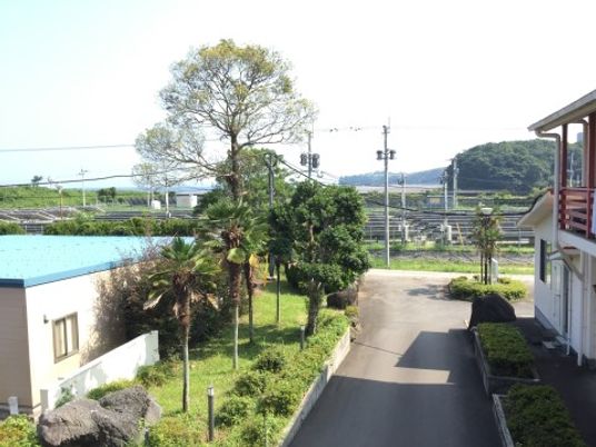 緑豊かな外観風景