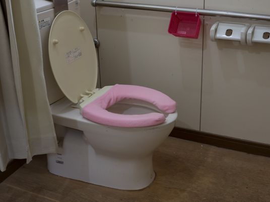 手すり付きのトイレ