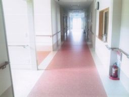 廊下の明るい風景