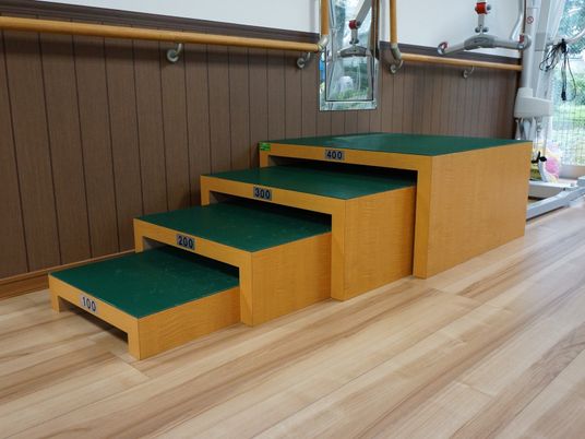 段差訓練用ステップ機器