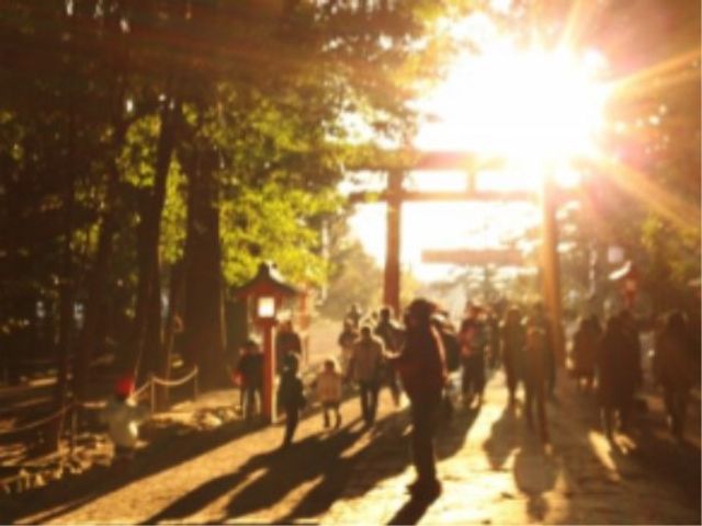 朝日が差し込む神社の参道 イベント 朝日が木々を照らす心安らぐ広場では、利用者様が散策や健康的な時間を過ごされています。
