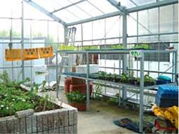 中庭の植物育成エリア