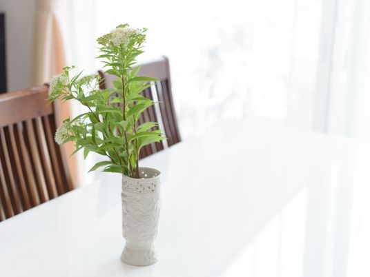 白いテーブルと緑の植物