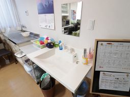 清潔な洗面台とキッチン