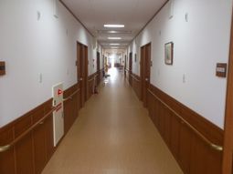 清潔な施設の廊下