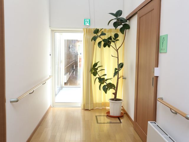 明るい廊下と植物 廊下 廊下には手すりが設置されており、安全に歩行できるよう配慮されています。窓際には緑があり、温かみのある雰囲気を感じられます。