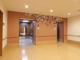 廊下の桜の装飾