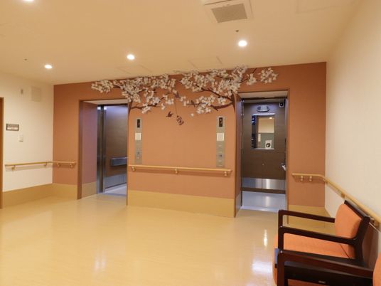  廊下に桜の装飾  