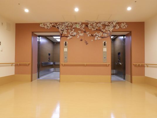 桜モチーフの廊下デザイン 