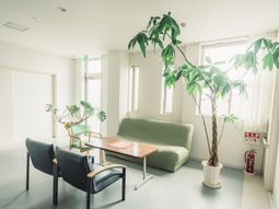 緑の植物がある休憩スペース