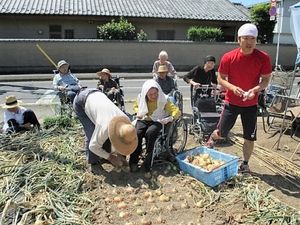 職員と共に農作業支援