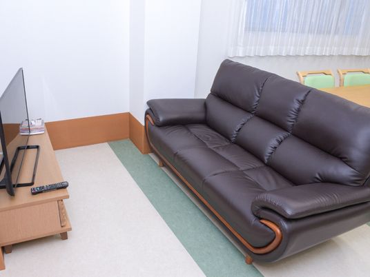 茶色のソファとテレビ居室