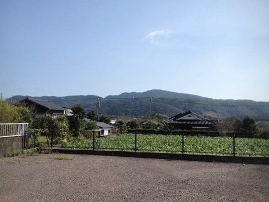 緑豊かな中庭風景