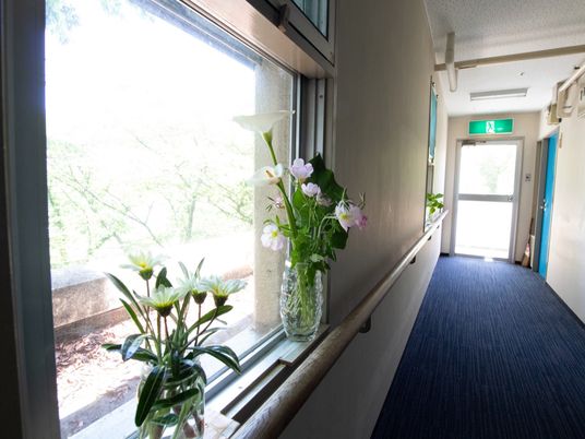 窓辺の花が彩る廊下