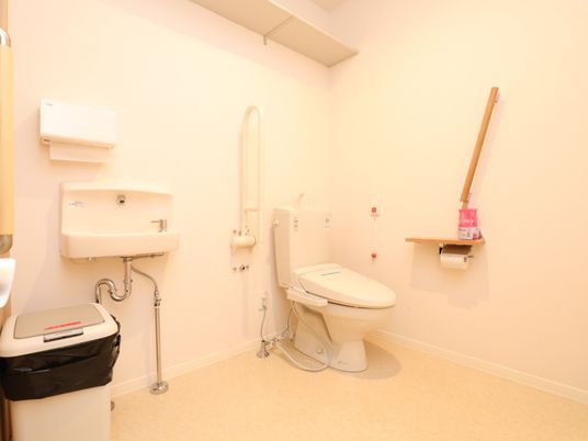 広々としたスペースにトイレと手洗い器が設置されている。手すりが２カ所に設置されていて、１つは可動式である。