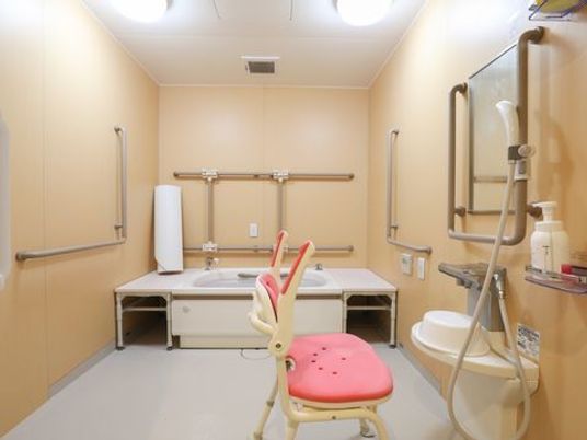 浴室は広々としており、浴槽側の壁にはスライド式、固定された手すりが取り付けられている。洗い場の鏡周りにも手すりがあり、椅子も用意されている。