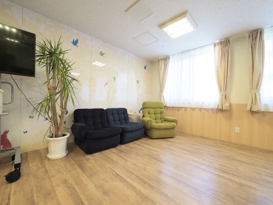 カラフルな壁のリビング